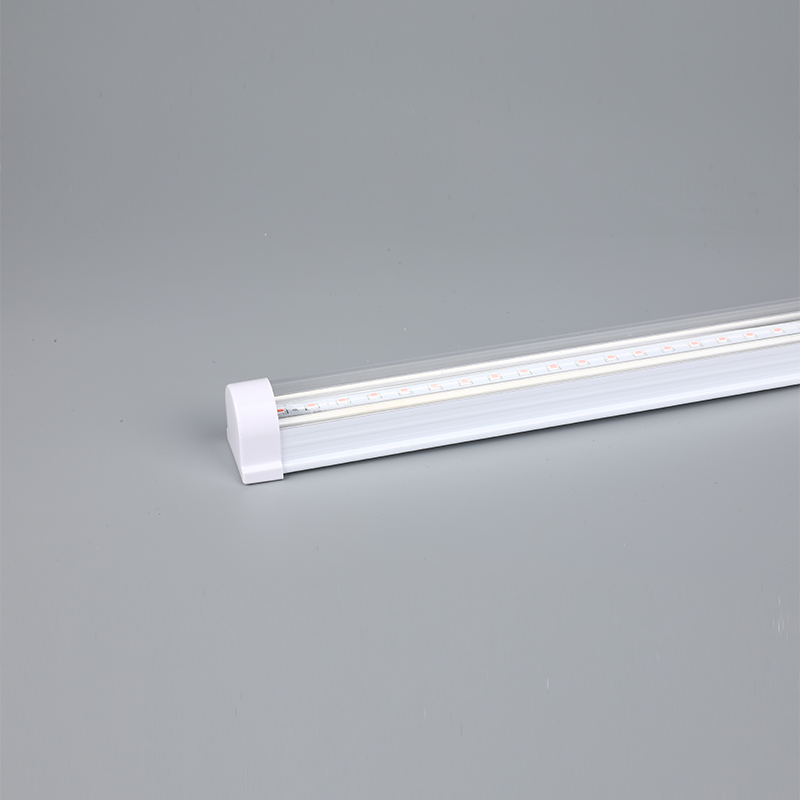 T5 PC LATTE 1.2M 16W